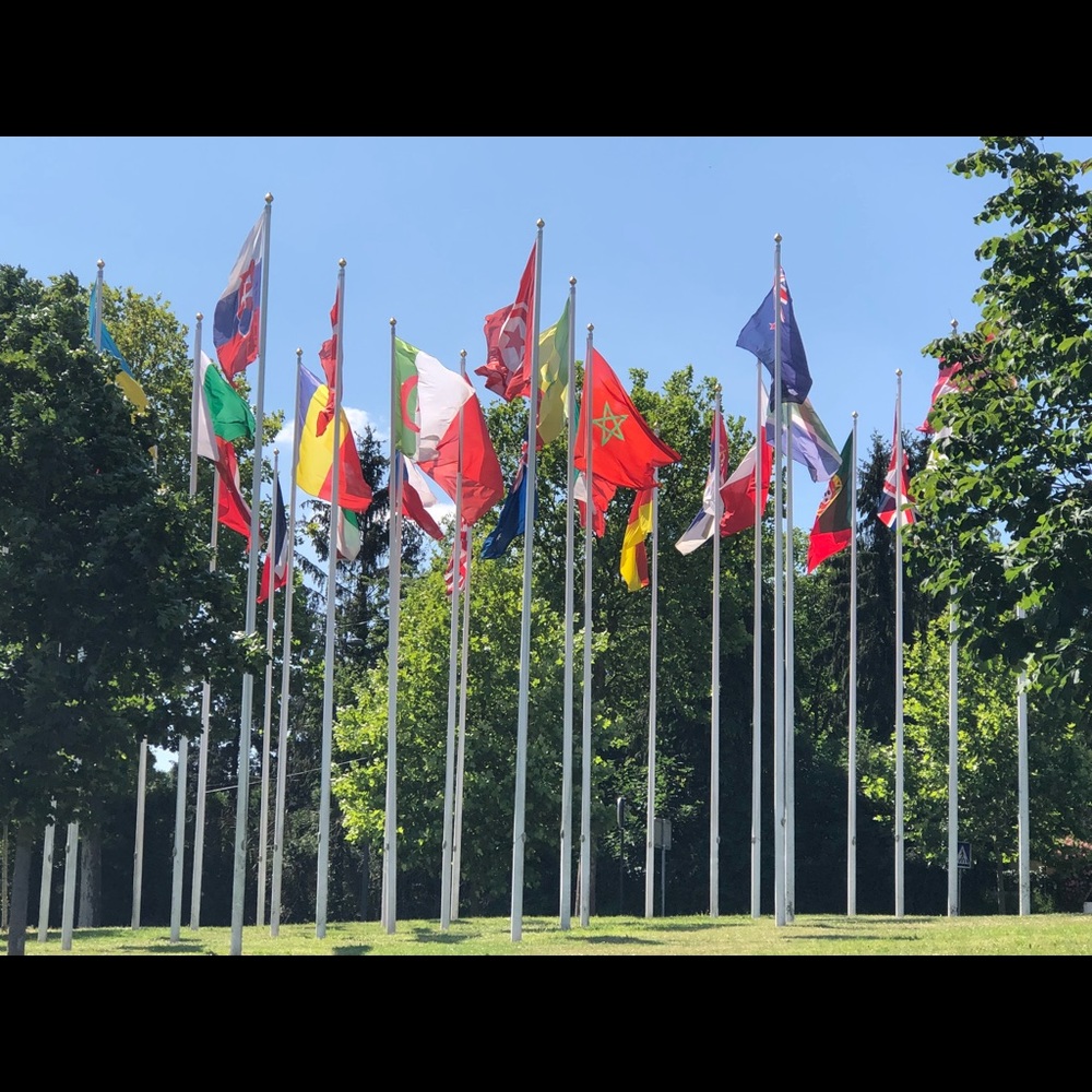 Meet your Posher, Evette